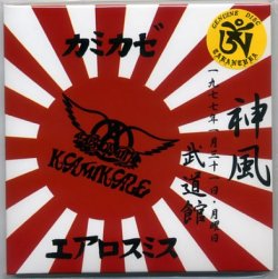 Photo1: AEROSMITH 2CD Kamikaze Tarantura Bukaokan Tokyo Japan NEW Jan-31-1977