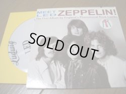 Photo1: LED ZEPPELIN Meet Led Zeppelin Left Slot Cover AKASHIC TARANTURA